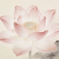 李*婷